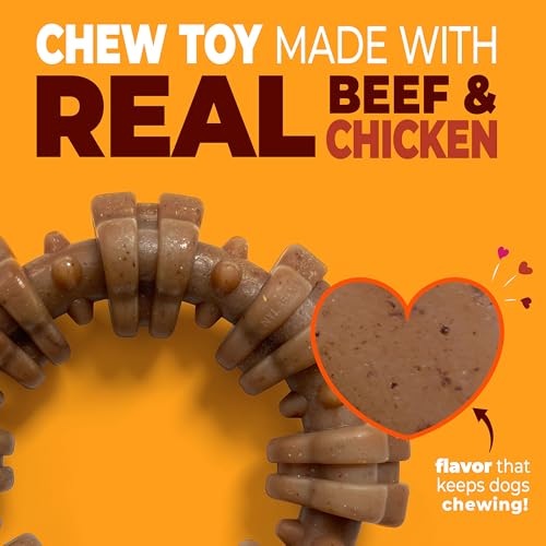 Strong Chew Ring Dog Chew Toy Made with Real Beef & Chicken (Textured Ring / Small)