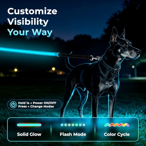 LED Bungee Dog Leash (5 FT, MAX: 6 FT / Sky Blue)