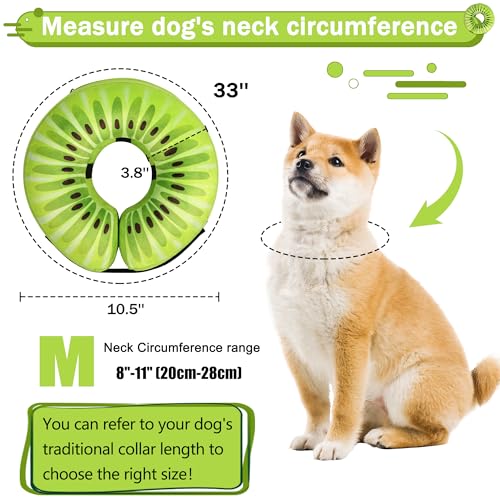 Recovery Donut Collar for Dogs & Cat (Kiwi / M（neck 8"-11"）)