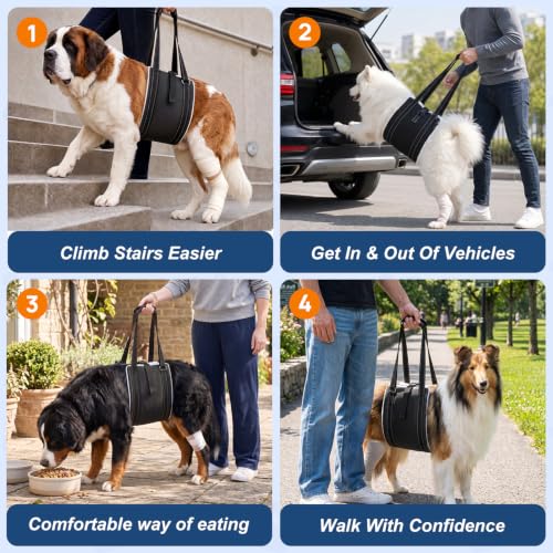 Dog Lift Harness for Rear Legs (Large)