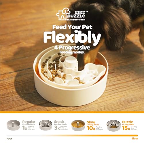 Slow Feeder Dog Bowl with Lick Mat and Puzzle Inserts (M / Orange)