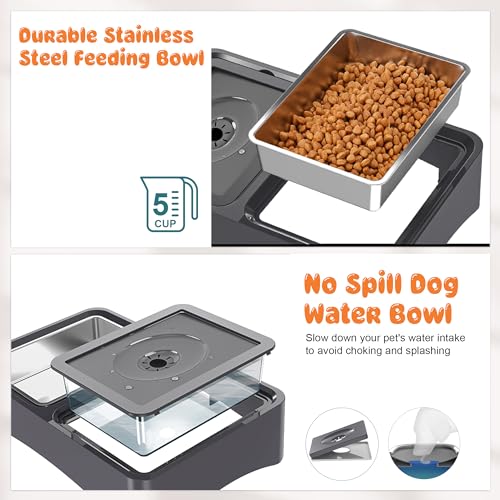 2-in-1 Elevated Dog Bowls with 4 Height Adjustable Raised Stand (2-in-1 Grey)