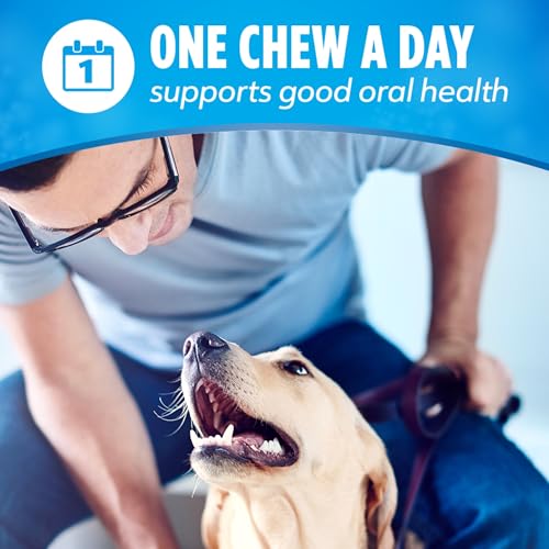 Purina DentaLife Made in USA Facilities Large Dog Dental Chews (18 Count (Pack of 2))