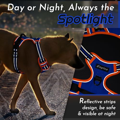 Dog Harness for Large Dogs (Large / Blue & Orange)