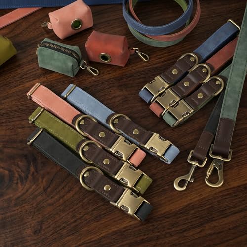 PU Leather Dog Leash for Small Dogs (Black / 5/8"x 5FT)