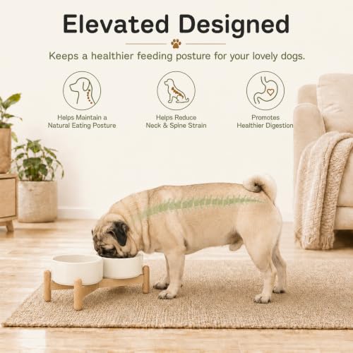 Ceramic Dog Bowls Elevated (Light Yellow)
