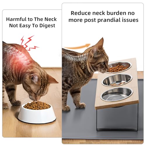 Upgraded Elevated Cat Bowls with Food Mat