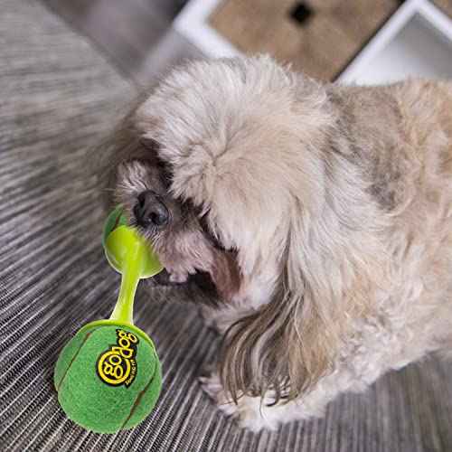 Holiday Collection goBone Double (goBone Tennis Ball Toy / Large)