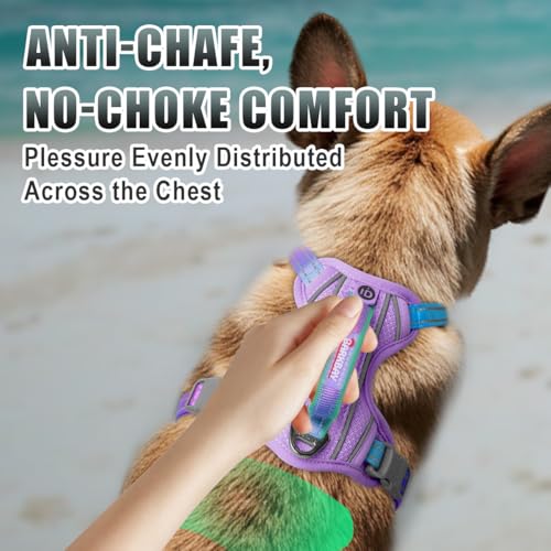 Dog Harness for Small Sized Dog No Pull Dog Vest ID Tag Pocket (Lavender Sky / X-Small)