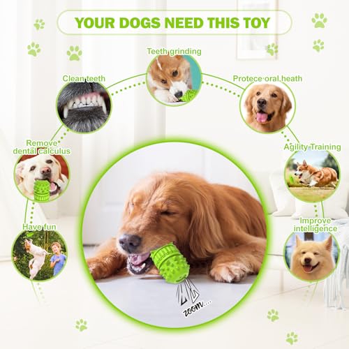 Natural Rubber Squeaky Dog Chew Toy for Medium Aggressive Chewers (Green / Medium（For 30–55 lb dogs）)