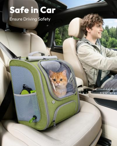 Cat Backpack Carrier (Light Green / 12.6"L x 10.2"W x 16.5"H)