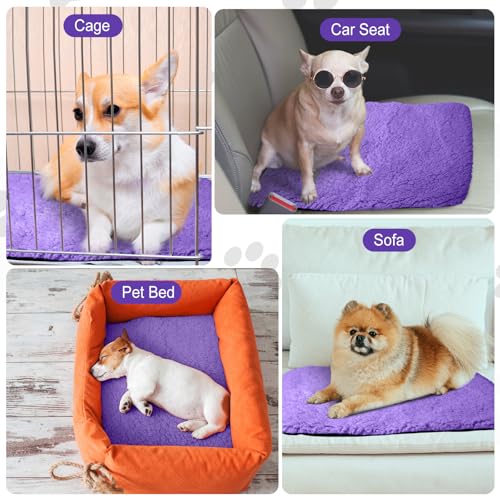 4 Pack Self Warming Cat Mat for Pets (16 x 20 Inch / Purple)