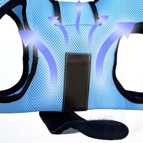 Pet Grooming Hammock (Blue)