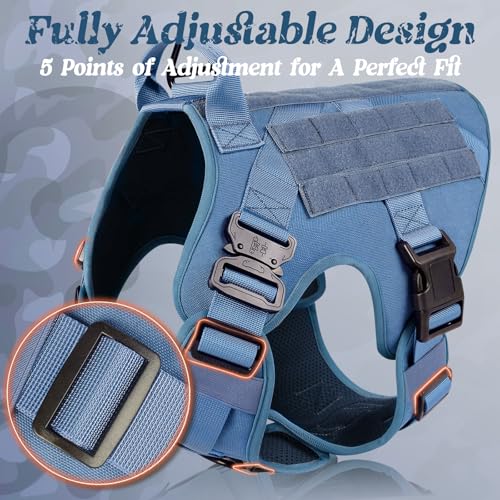 Tactical Dog Harness for Small (Blue / Small)