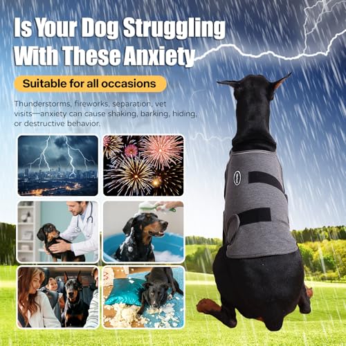 Dog Anxiety Vest (XL-Chest(22"-34.6") / Dark Grey)