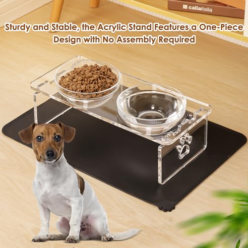 Elevated Dog Bowls for Medium Dogs (Medium Dogs-5.5" Height)