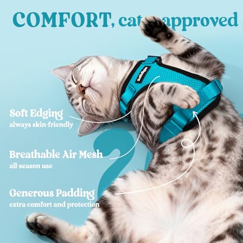 Cat Harness and Leash Set (Xs / Teal)