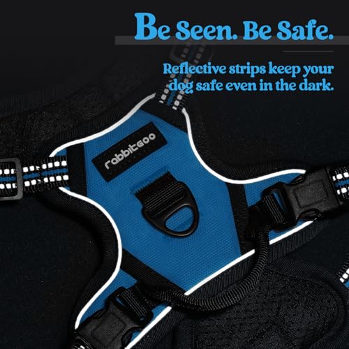 Dog Harness No Pull for Small Dogs with 2 Leash Clips (X-Small / Blue)