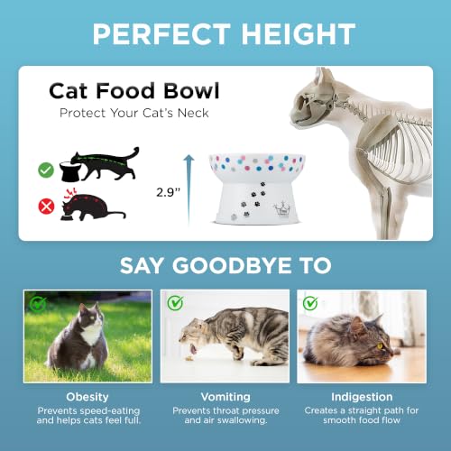 Necoichi Ceramic Raised Cat Food Bowl (Colorful Dots / Regular)