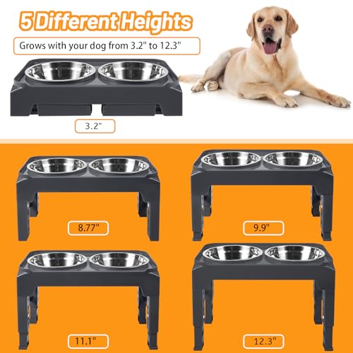 Elevated Dog Bowls with 2 Stainless Steel Food & Water Raised Bowls with No Spill Edge Non (M (8" for M/L Dogs) / Grey)