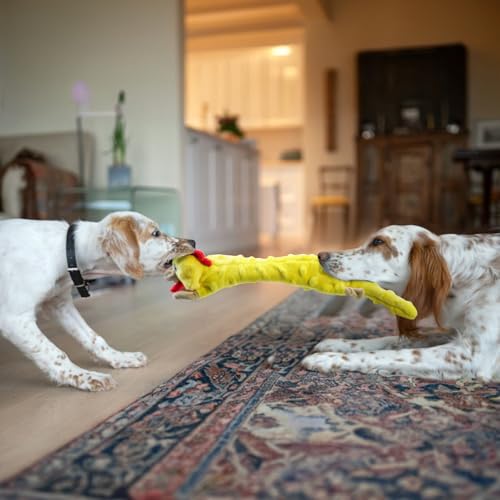 Dog Squeaky Toys Pack (Medium / Bubble Plush-Chicken)