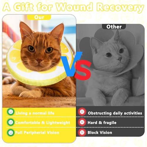 Cat Cone Collar Soft (Lemon / Medium)