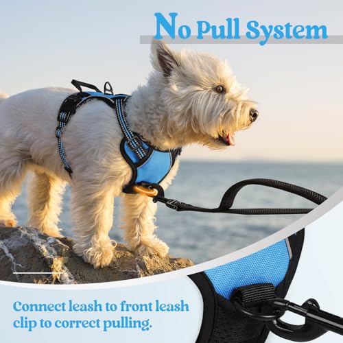 Dog Harness No Pull for Small Dogs with 2 Leash Clips (X-Small / Blue)