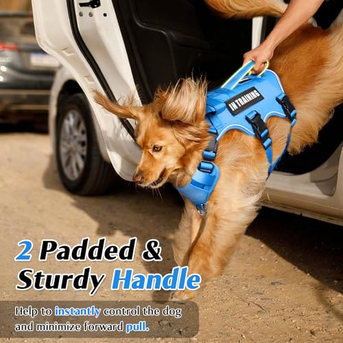 Escape Proof Dog Harness with Double Handle+4 Removable Patches (Large / Blue)
