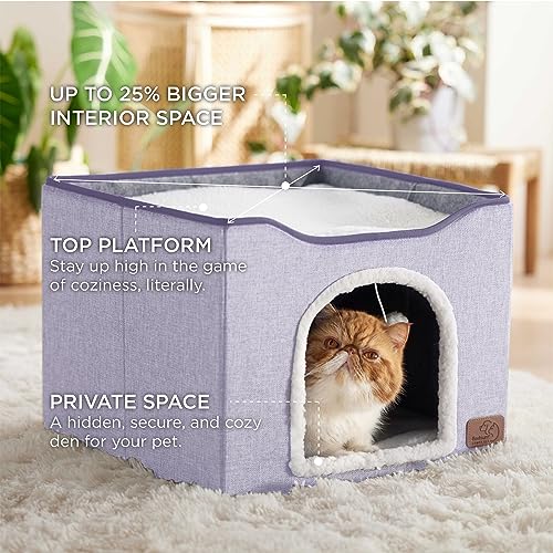 Cat House Bed for Indoor Cats with Fluffy Ball and Scratch Pad (Cloud Purple / Single)