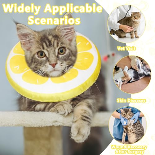 Cat Cone Collar Soft (Lemon / Medium)