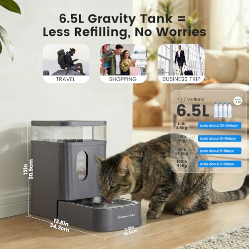 1.7 Gallon Automatic Dog Water Dispenser with Stainless Steel Bowl (Grey / 1.7 Gallon)
