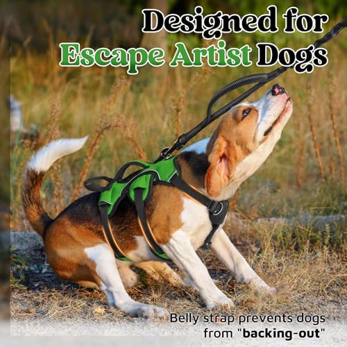 Escape Proof Dog Harness for Small (Green / Small)