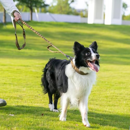 5 6FT Military Bungee Dog Leash Adjustable Elastic (Coyote Brown)