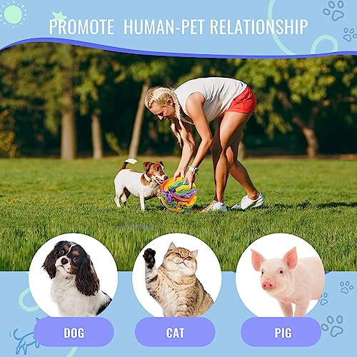 Pet Snuffle Ball (Sweet purple / 15cm)