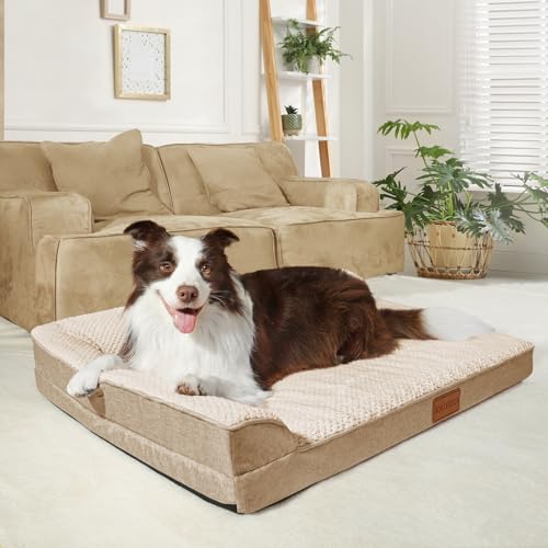 Orthopedic XL Dog Bed Large Sized Dog 48''X30'' (XXL:48x30x3.5 IN / Ivory)