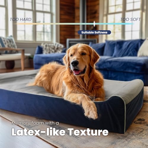 Orthopedic Dog Beds for Large Dogs (50.0"L x 36.0"W x 10.0"Th / Slate Blue)