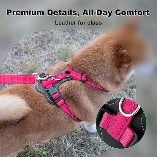 No Pull Dog Harness with Leather Accents (XL / Hot Pink)