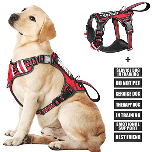 Service Dog Vest No Pull Dog Harness with 7 Dog Patches (Large / Red)