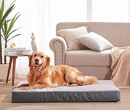 Extra Large Dog Beds (Purple Grey / XX-Large-47"x 29" x 3.5")