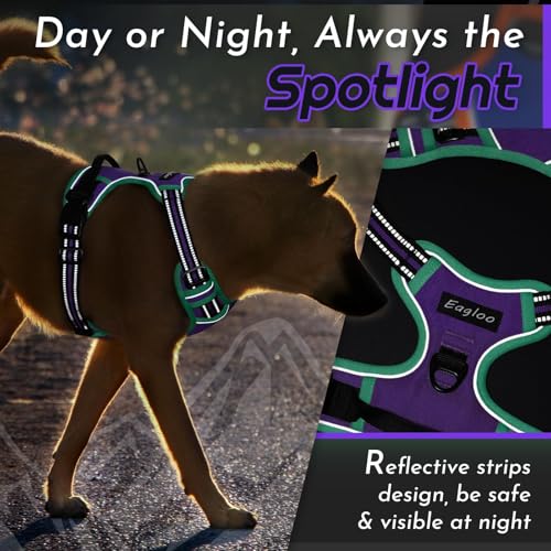 Dog Harness for Medium Sized Dogs (Medium / Purple & Turquoise)