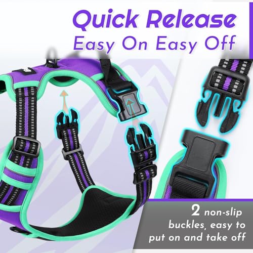 Dog Harness for Medium Sized Dogs (Medium / Purple & Turquoise)