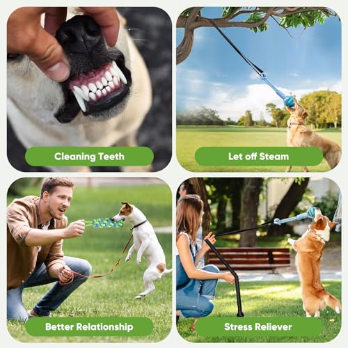 Dog Bungee Toy 5.2ft for Medium Dogs (Medium)