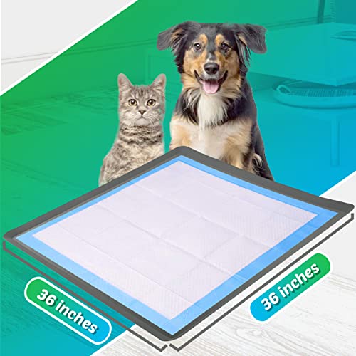Dog Pee Pad Holder (Gray / 36 x 36 Inches)