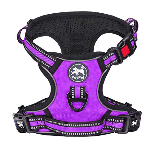 Dog Harness Large (XL / Purple)