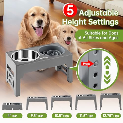 Elevated Dog Bowls (2 Bowls + 1 Slow Feeder / Gray)