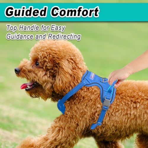 Dog Harness for Small Sized Dog No Pull Mesh 2 Clips Dog Vest (X-Small / Blue-Mesh)