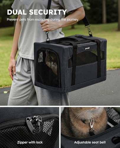 Cat Carrier Stable (Dark Gray Regular / 16.9"L x 11.0"W x 11.0"H)