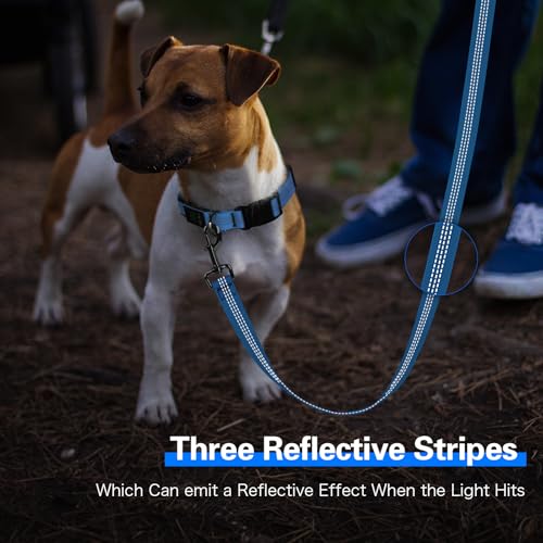 Light Up Dog Leash (Blue)