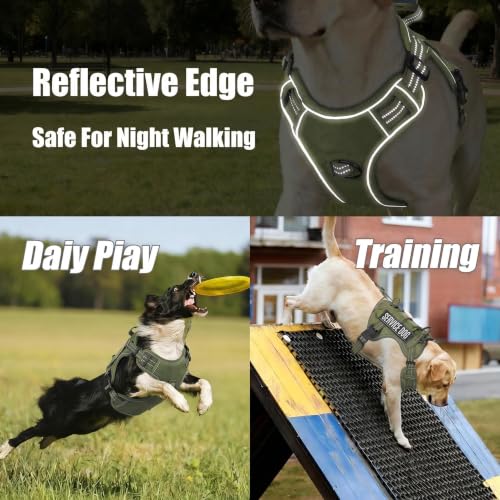 Dog Harness and Leash Set for Small Dogs (Army Green / S)