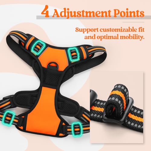 Dog Harness No Pull for Small Dogs with 2 Leash Clips (Small / Orange)